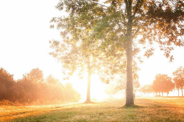 Voorbeeld van een bewerkte landschap foto met Lightroom